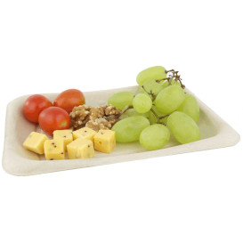 Verpackung Zuckerrohr 20x14cm (300 Stück)