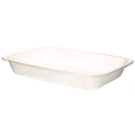 Gastronormbehälter Siegelfähig 154x110x25mm (1050 Stück)