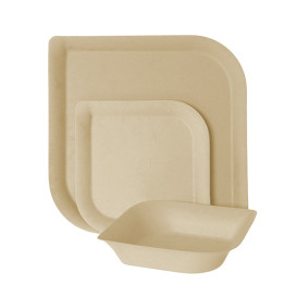 Teller Bagasse und Bambus 15,0 cm (1.000 Stück)