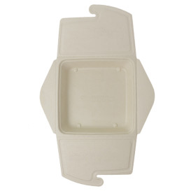 Box to Go Zuckerrohr 21x21x4cm 1350ml (100 Stück)